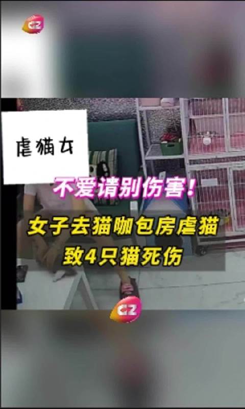 游戏专题 第78页