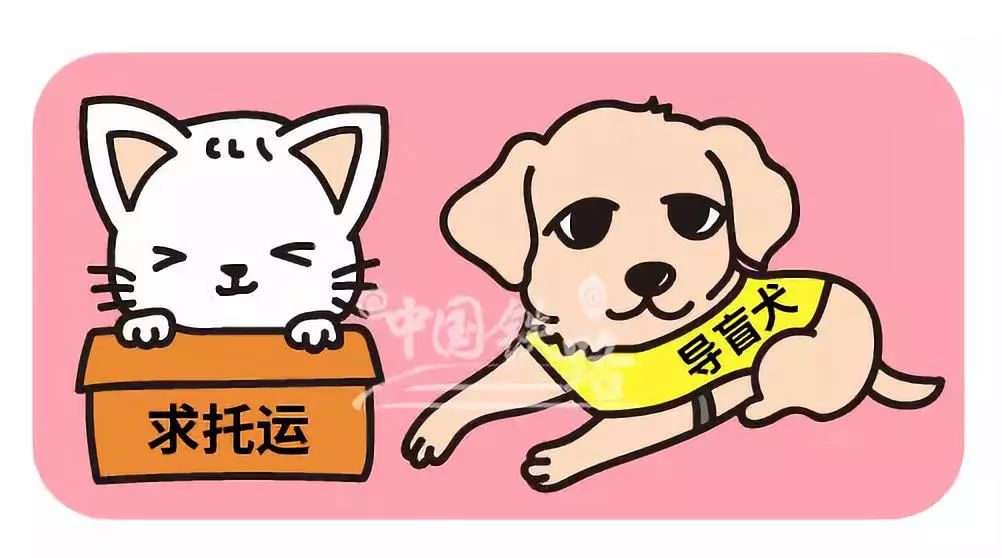 最新资讯 第58页
