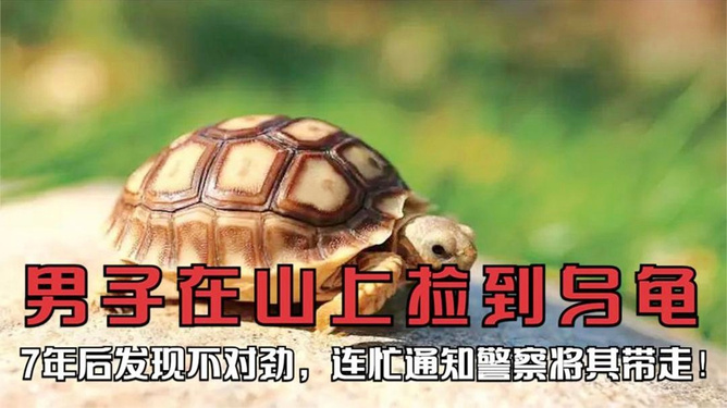 最新资讯 第56页