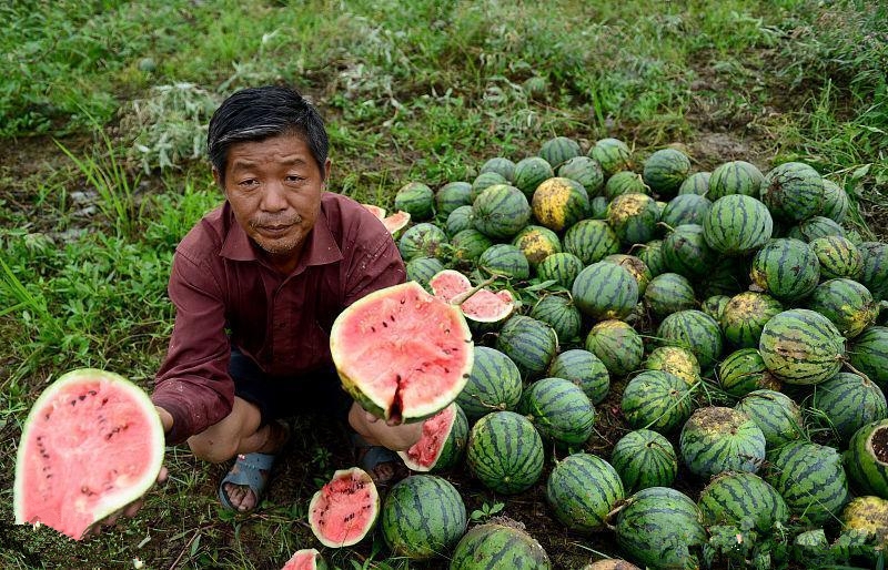 热点生活 第48页
