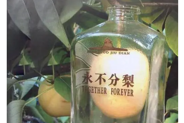 娱乐生活 第25页